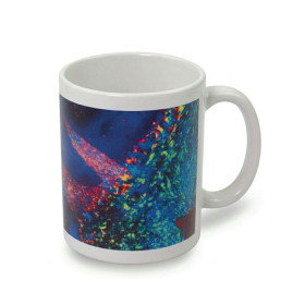 Sublimated Corporate Mugs